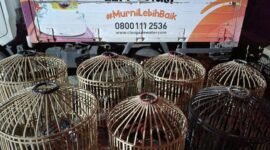 Polisi mengamankan barang bukti berupa 7 (tujuh) ekor ayam, selembar kalangan ayam dan 50 unit sepeda motor. (Dok. Polres Bogor)