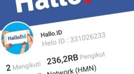 Tangkapan layar jumlah follower akun Hallo.id (Hallo Media Network) di media sosial platform Helo. (Dok. Hallo Media/Budi Purnomo)