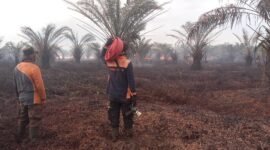 Kebakaran Lahan Terjadi di Desa Kumpai Batu Bawah. (Dok. BPBD) 