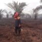 Kebakaran Lahan Terjadi di Desa Kumpai Batu Bawah. (Dok. BPBD) 