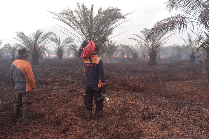 Kebakaran Lahan Terjadi di Desa Kumpai Batu Bawah, Tim Gabungan Kotawaringin Barat Padamkan Api