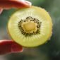 Sebuah penelitian terhadap orang dewasa yang sehat menyatakan, kiwi dapat membantu mengurangi durasi flu. (Pexels/Any Lane)