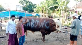 Ketua Umum Partai Gerindra sekaligus Menteri Pertahanan Prabowo Subianto menyalurkan ratusan hewan qurban. (Dok. Tim Media Prabowo Subianto) 
