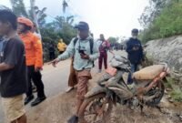 Tim gabungan dibantu warga berupaya melakukan pencarian korban di lokasi kejadian tanah longsor di Desa Bonglo, Kecamatan Bastem Utara, Kabupaten Luwu. (Dok. BPBD Kabupaten Luwu)

