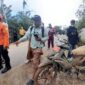 Tim gabungan dibantu warga berupaya melakukan pencarian korban di lokasi kejadian tanah longsor di Desa Bonglo, Kecamatan Bastem Utara, Kabupaten Luwu. (Dok. BPBD Kabupaten Luwu)

