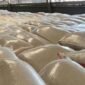 Beras Food Station Cipinang oplosan dijual premium, mutu rendah. (Dok. Kementan)